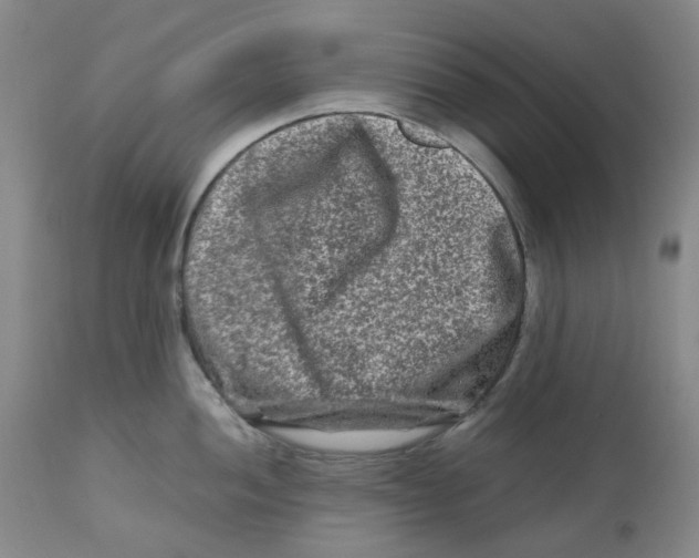 X0000112801052200909181532