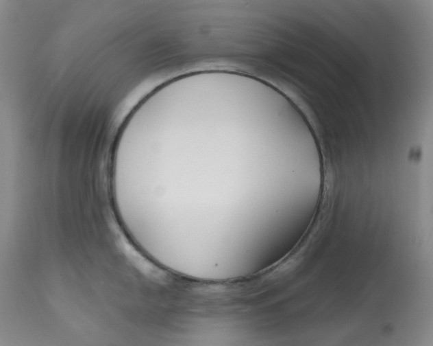 X0000112801054200909181532