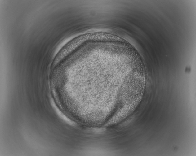 X0000112801055200909181532