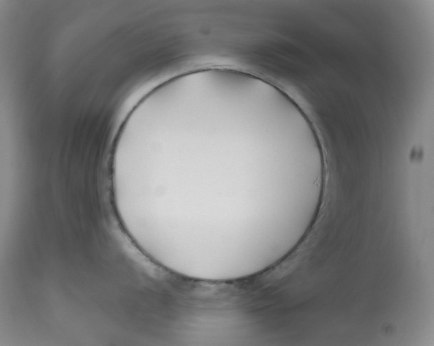X0000112801056200909181532