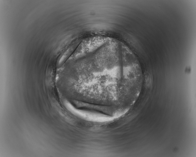X0000112801060200909181531