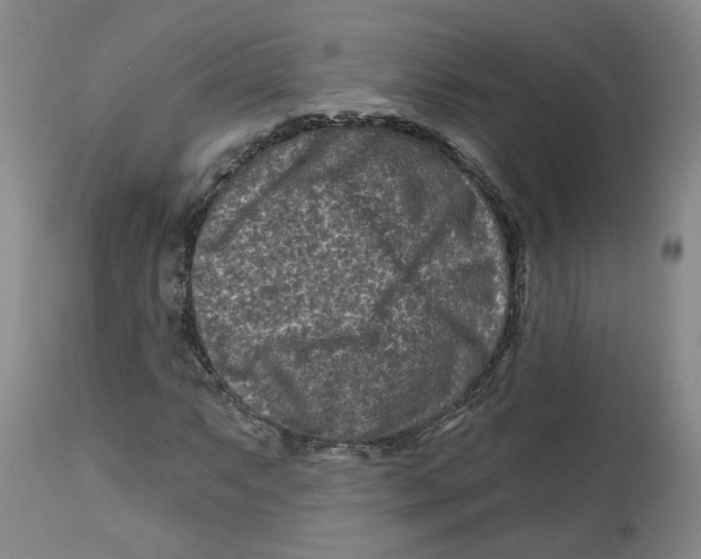 X0000112801063200909181531