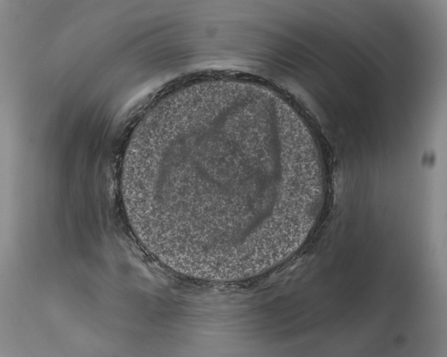 X0000112801064200909181531