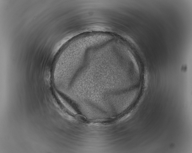X0000112801065200909181531