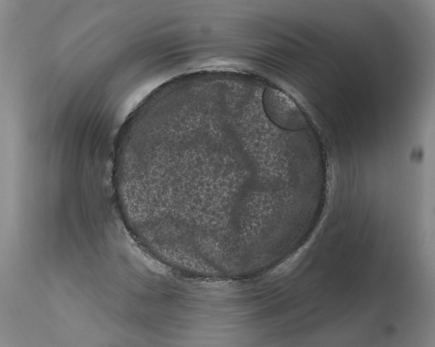 X0000112801066200909181531