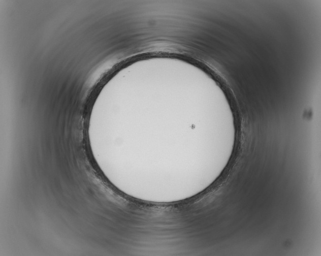 X0000112801067200909181531