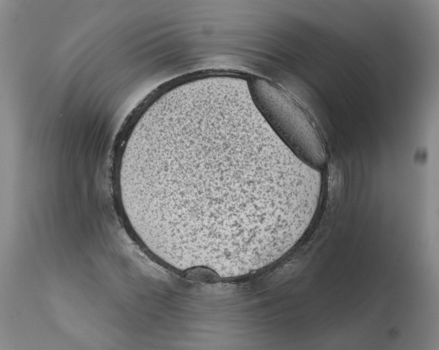 X0000112801068200909181531