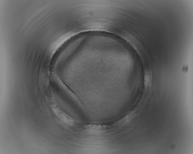 X0000112801069200909181531
