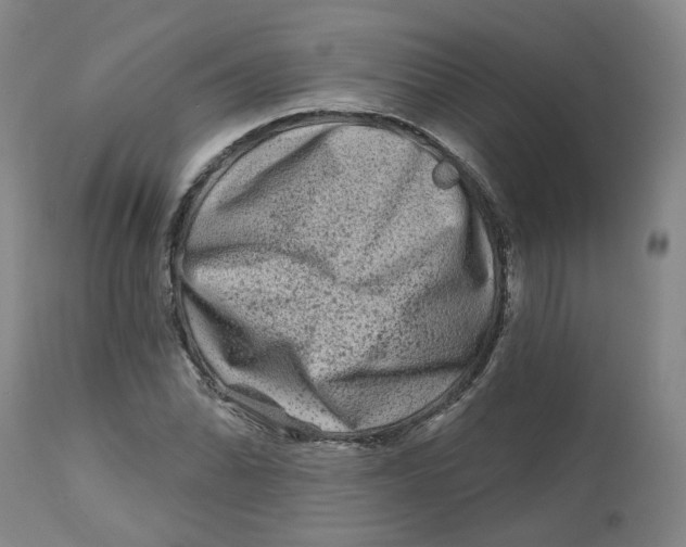 X0000112801070200909181531