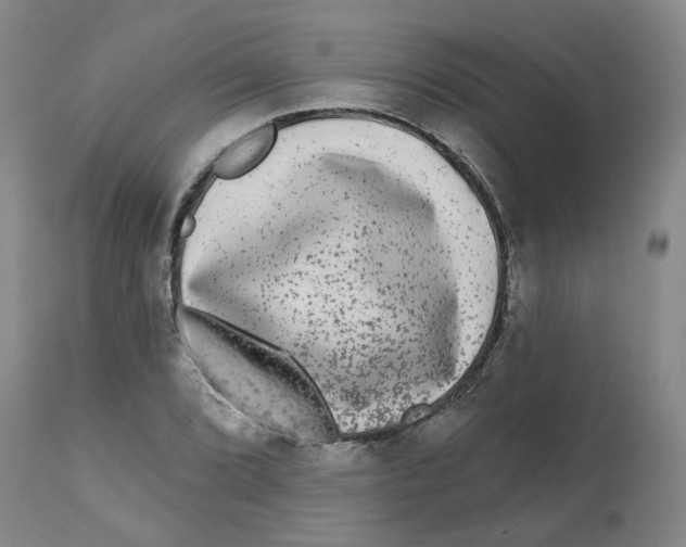 X0000112801072200909181531