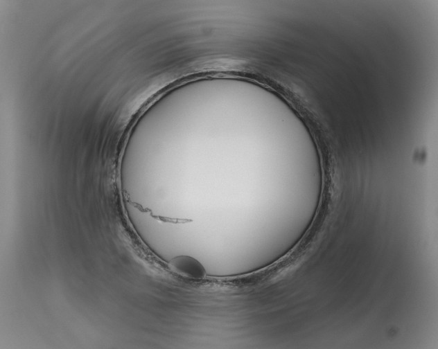 X0000112801073200909181531