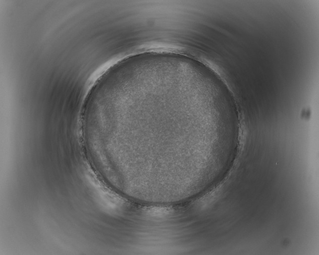 X0000112801074200909181531