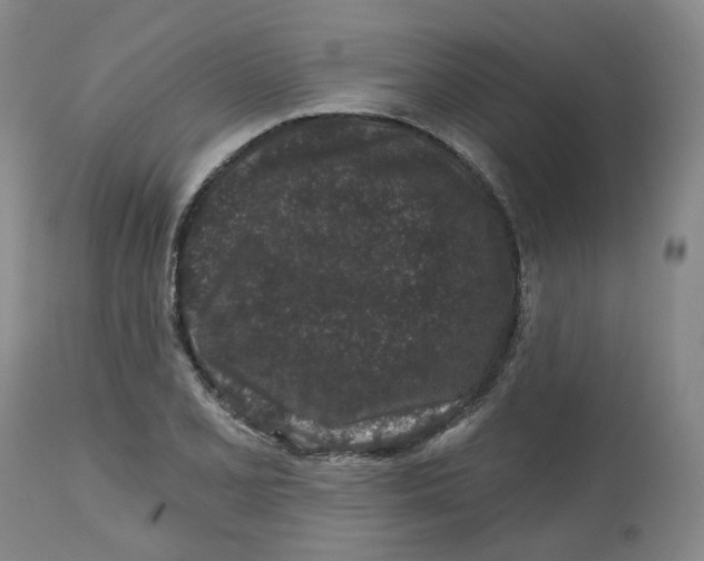 X0000112801077200909181531