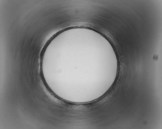 X0000112801079200909181531