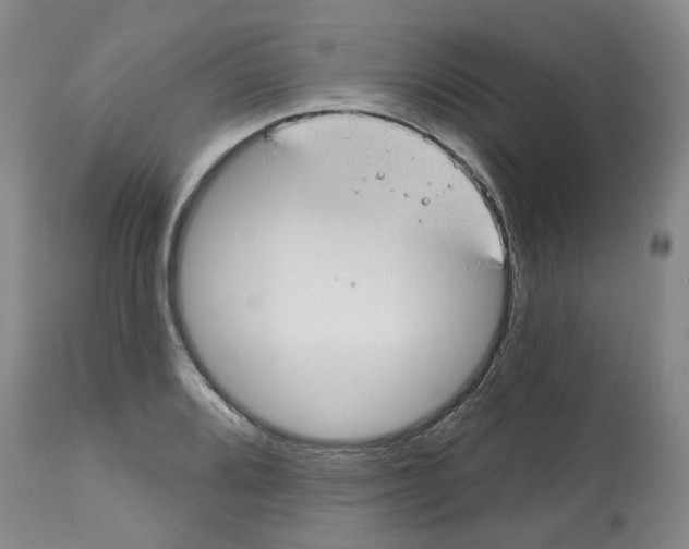 X0000112801080200909181531