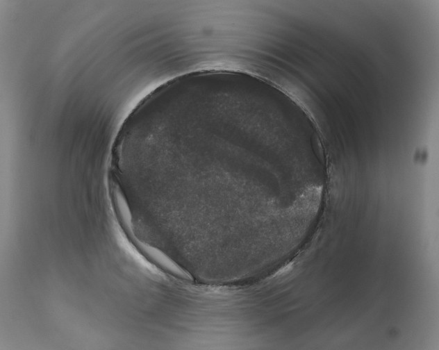 X0000112801084200909181531