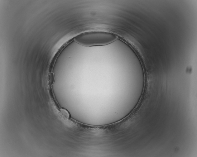 X0000112801085200909181531