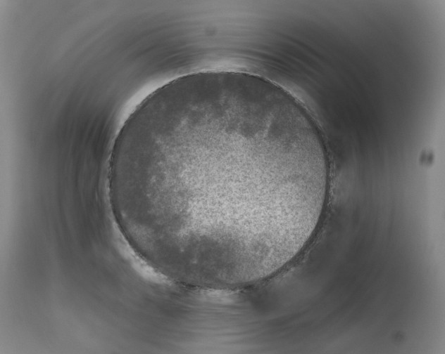 X0000112801086200909181531
