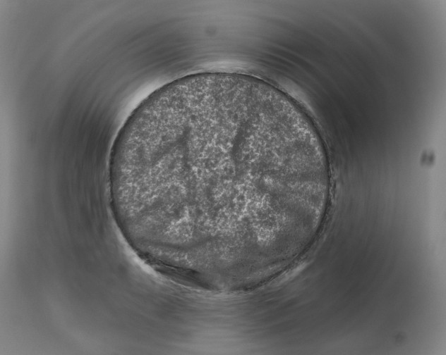 X0000112801087200909181531