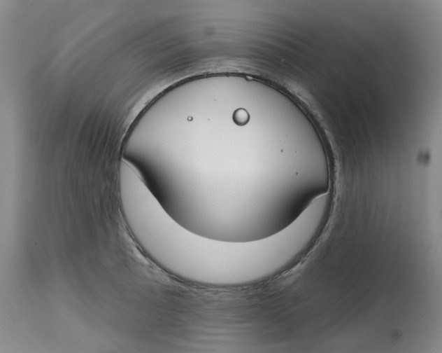 X0000112801089200909181531
