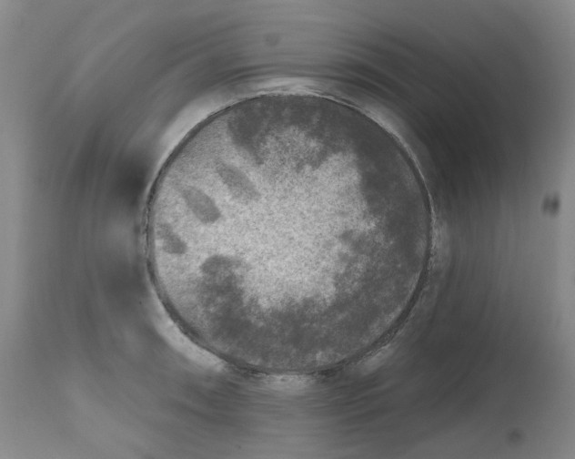X0000112801090200909181531
