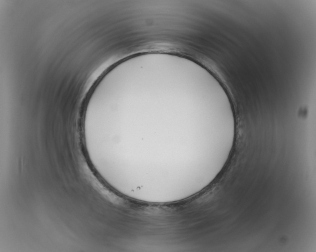X0000112801091200909181531