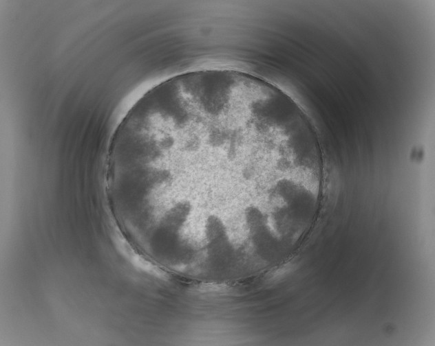 X0000112801094200909181531