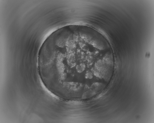 X0000112801095200909181531