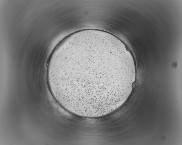 X0000112801096200909181531