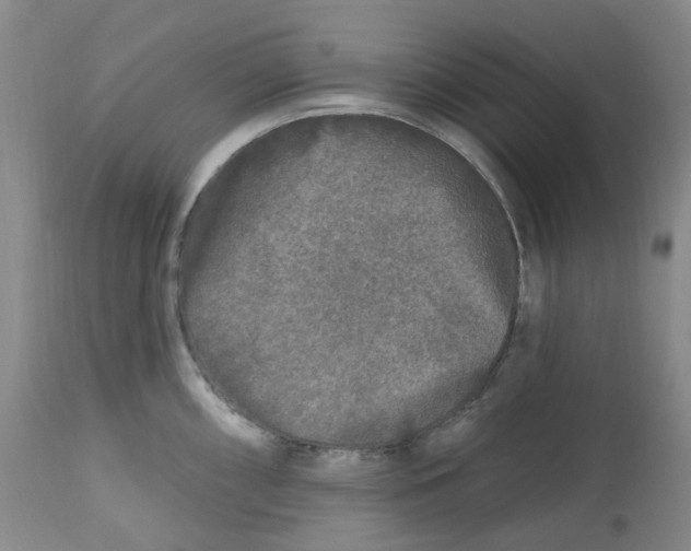 X0000112801098200909181531