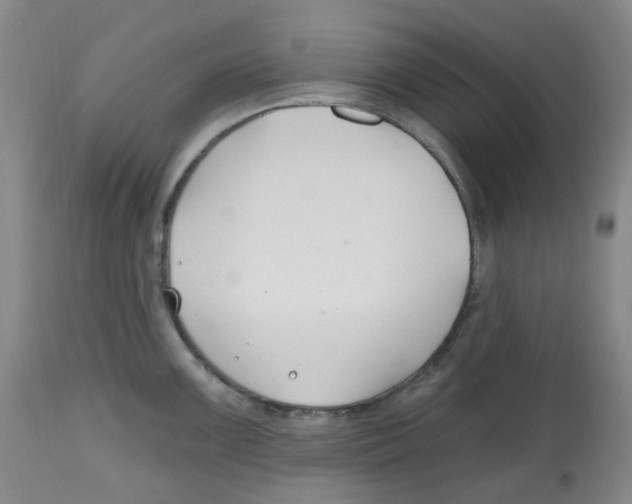 X0000112801099200909181531