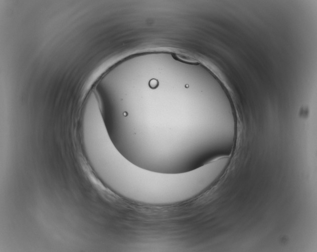X0000112801101200909181531
