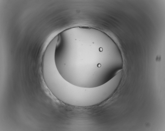 X0000112801104200909181531
