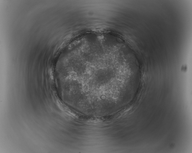 X0000112801106200909181530