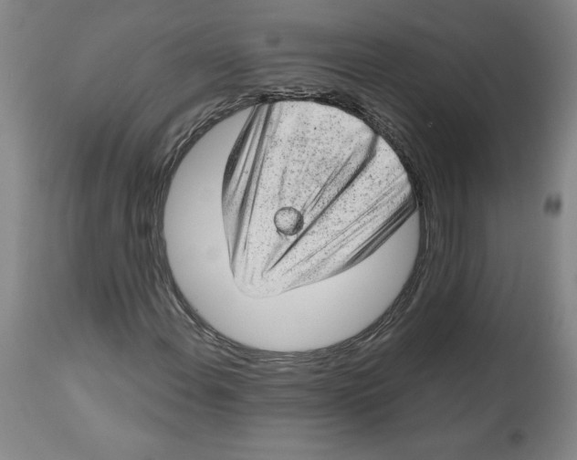 X0000112801108200909181530