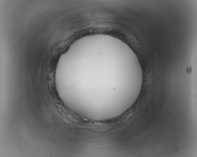 X0000112801109200909181530