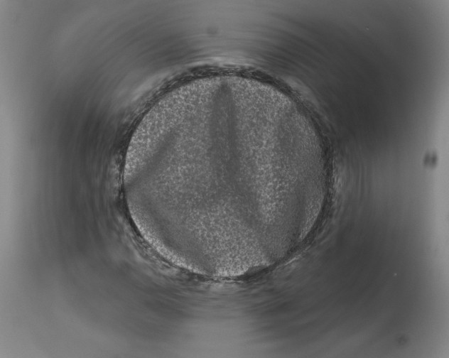 X0000112801110200909181530