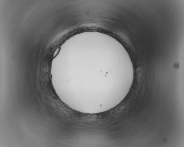 X0000112801111200909181530