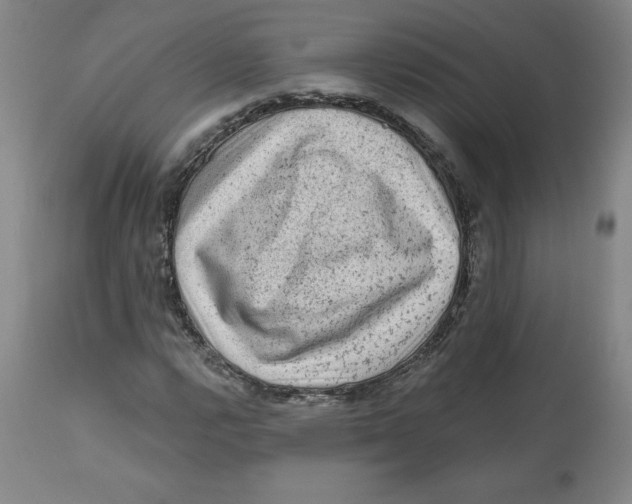 X0000112801112200909181530