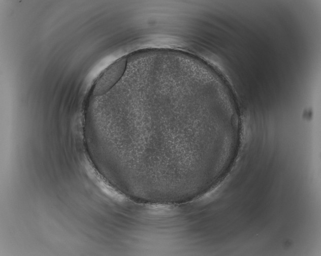 X0000112801114200909181530