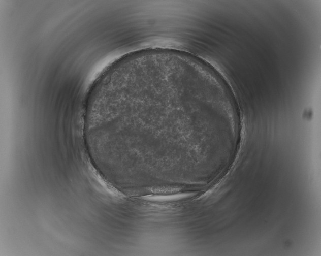 X0000112801115200909181530