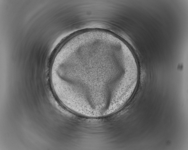 X0000112801116200909181530