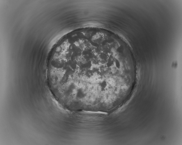 X0000112801117200909181530