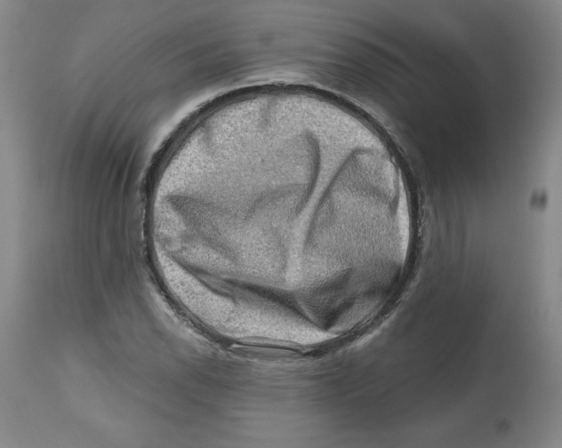X0000112801118200909181530
