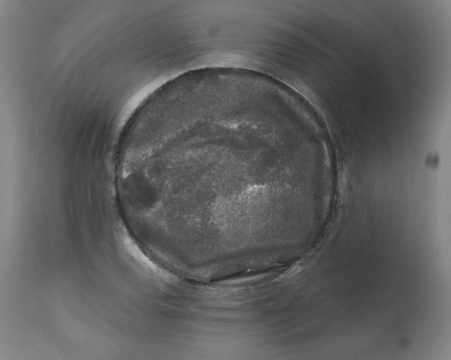 X0000112801120200909181530