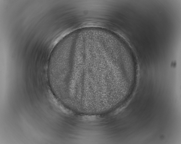 X0000112801121200909181530