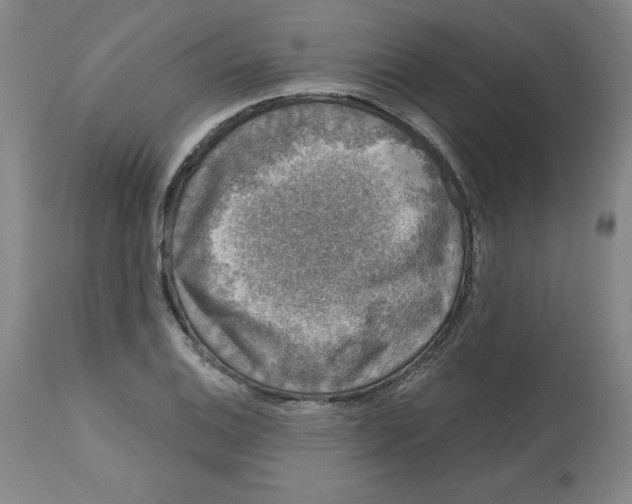 X0000112801124200909181530