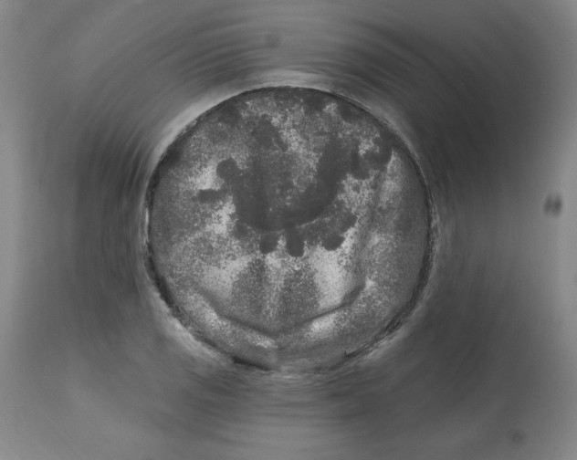 X0000112801125200909181530