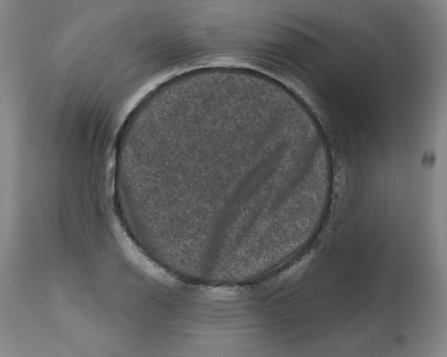 X0000112801126200909181530