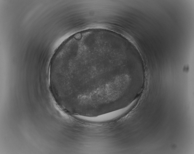 X0000112801127200909181530